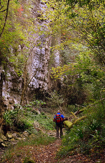 Hiker with Backpack Walking on Forest Trail Near Cliff