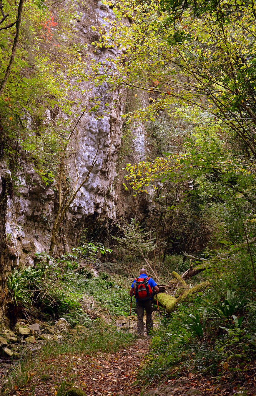Hiker with Backpack Walking on Forest Trail Near Cliff