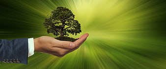 Hand holding tree with green background