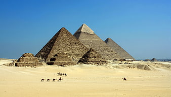 Pyramids of Giza with Camels in the Desert