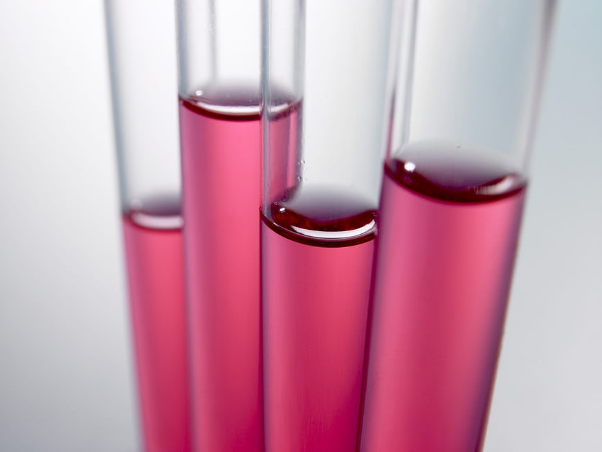 Close-up of test tubes with pink liquid in laboratory