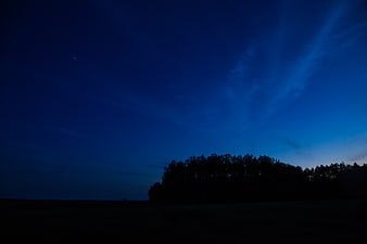 Silhouette of trees against deep blue twilight sky