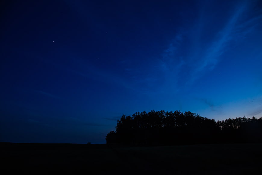 Silhouette of trees against deep blue twilight sky