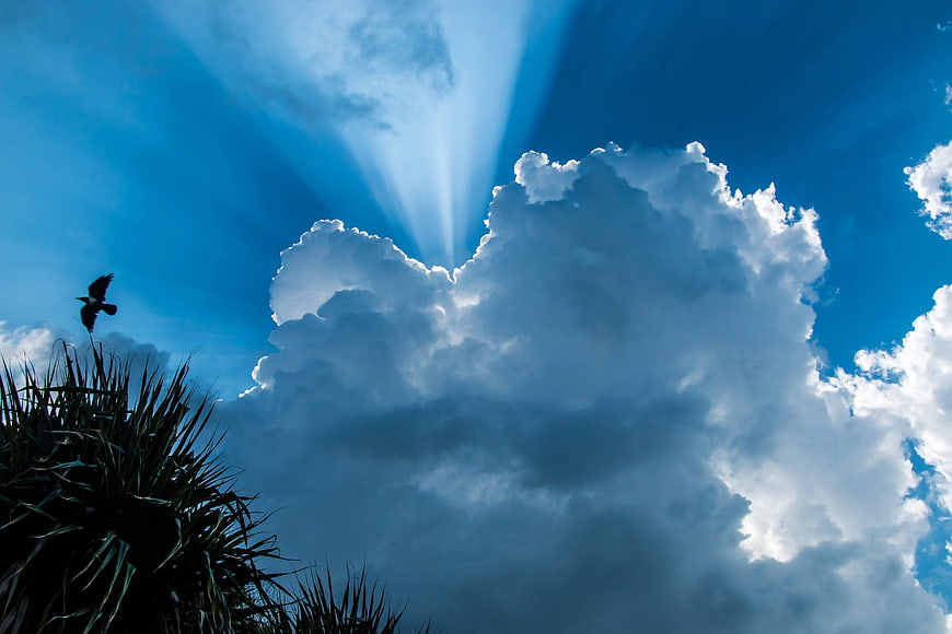 Dramatic Sun Rays Through Clouds with Bird Silhouette