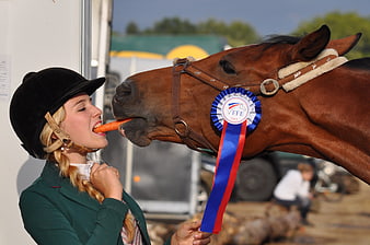 Young Equestrian Girl Sharing Carrot With Brown Horse At Competition