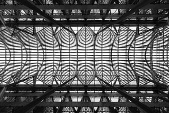 Black and white architectural steel roof structure