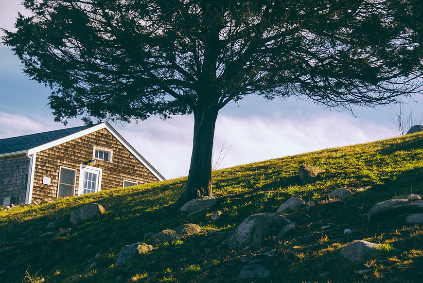 Shingled house on grassy hill with large tree