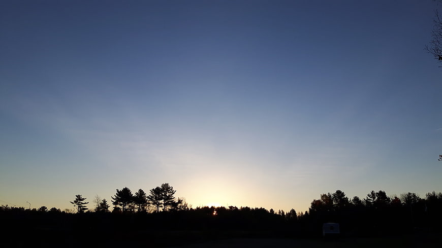 Silhouette of trees against a gradient sunrise sky