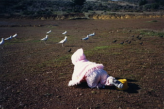 Baby in pink crawling toward seagulls on dirt field