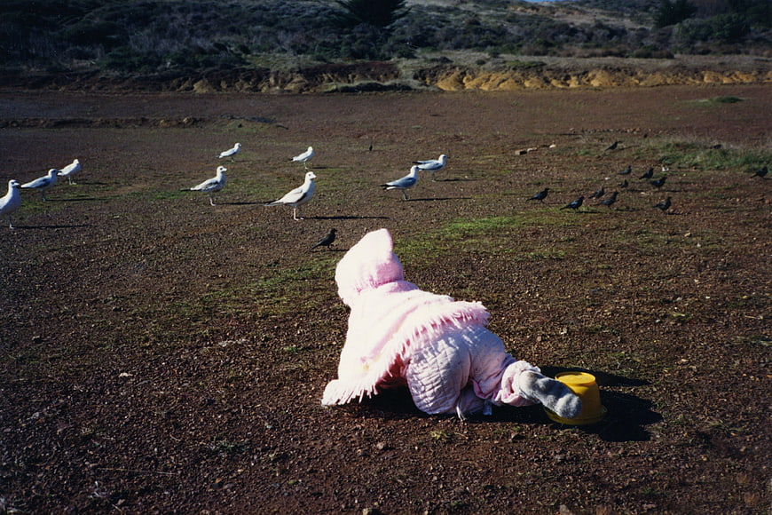 Baby in pink crawling toward seagulls on dirt field