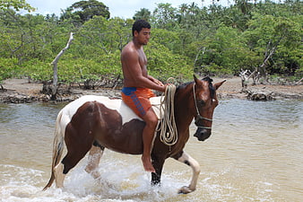 Shirtless man riding horse through shallow tropical water