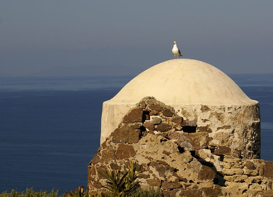 Seagull perched on ancient stone tower overlooking the sea