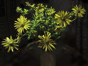 Yellow flowers in a vase with dramatic lighting