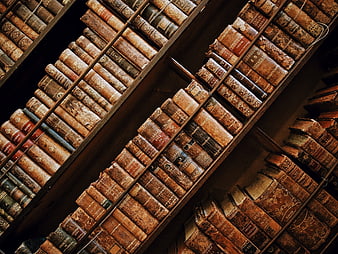Vintage leather-bound books on wooden shelves in a classic library