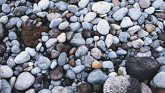 Close-up of smooth gray and brown pebbles on a beach