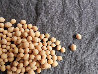Soybeans scattered on textured gray linen fabric background