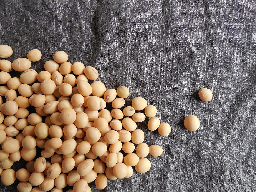 Soybeans scattered on textured gray linen fabric background