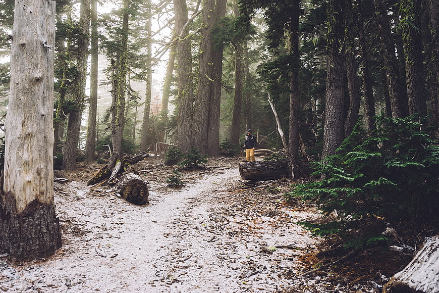 Man hiking on snowy forest trail in winter woods