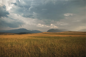 Golden grassy plains with dramatic storm clouds and distant mountains