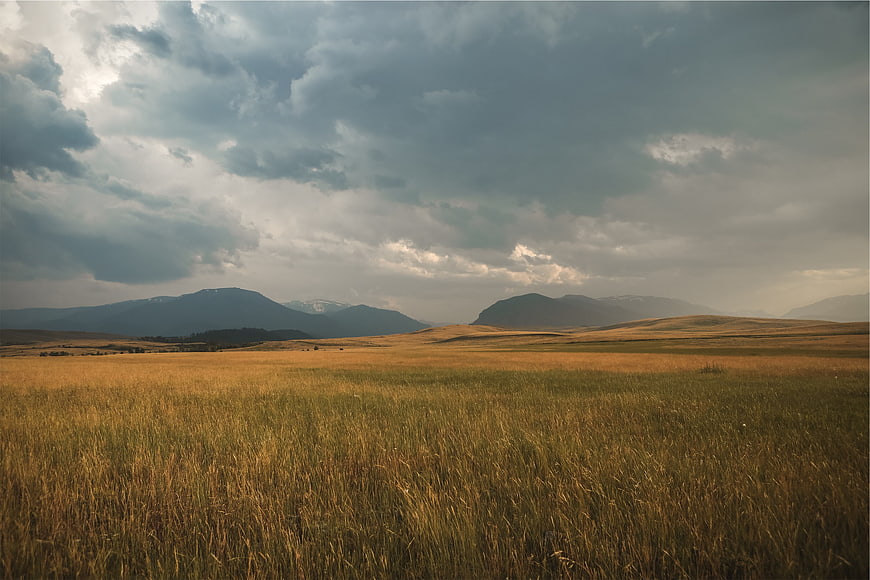 Golden grassy plains with dramatic storm clouds and distant mountains