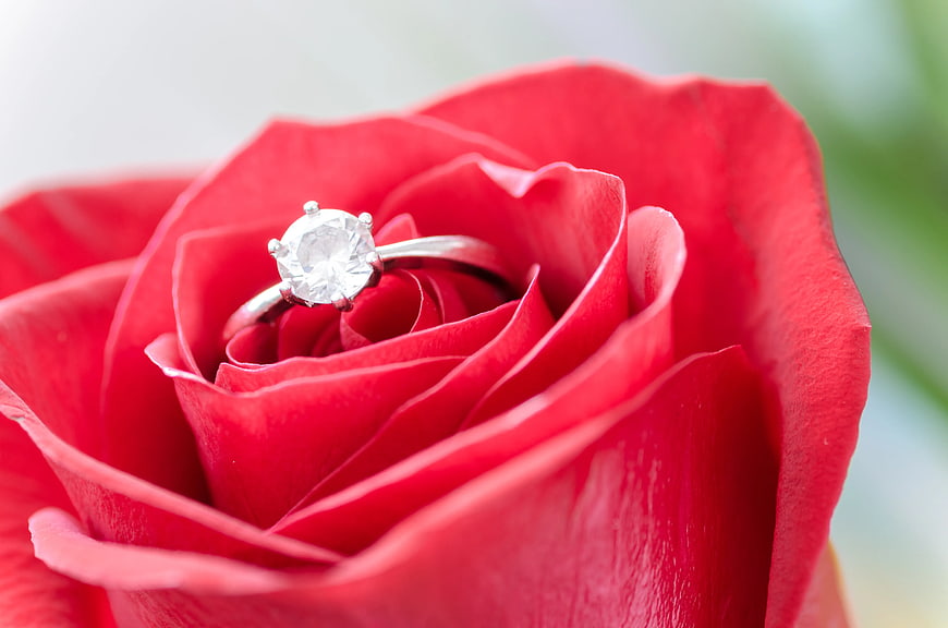 Diamond engagement ring nestled in red rose petals