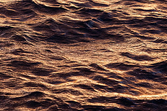 Golden Sunlight Reflecting on Dark Rippling Water Surface