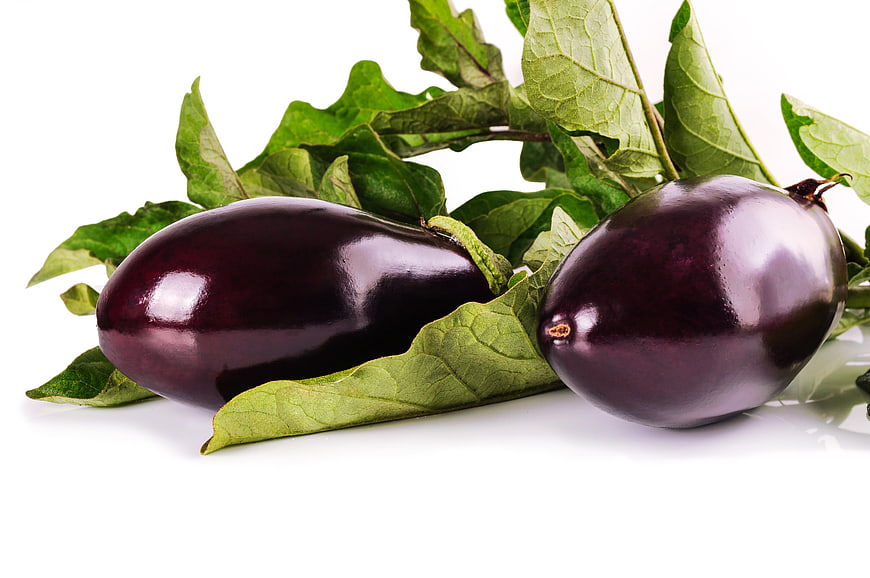 Fresh Purple Eggplants with Green Leaves on White Background