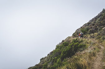 Two Hikers Walking on a Foggy Mountain Trail