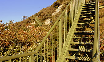 Green metal staircase winding up a sunlit autumn hillside