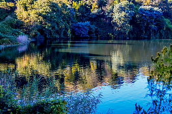 Serene Lake Reflection with Vibrant Blue and Green Forest