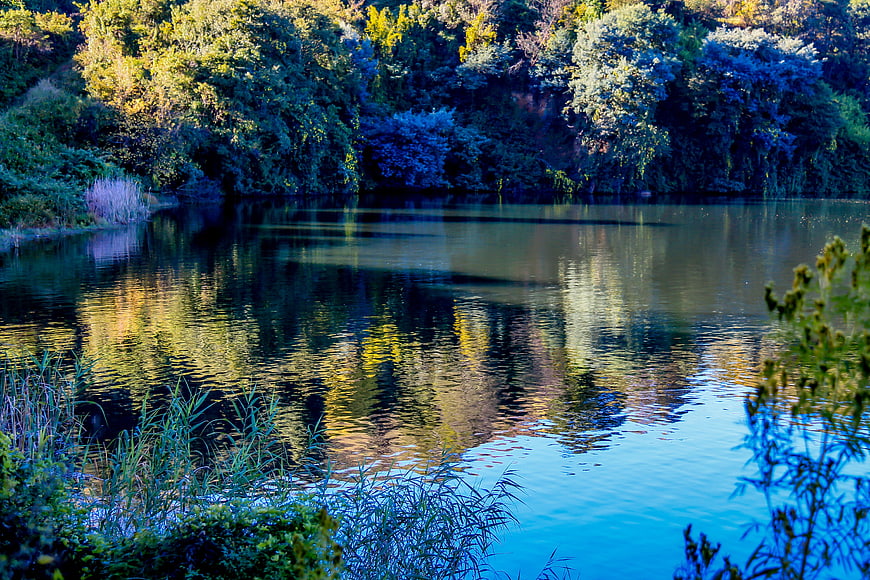 Serene Lake Reflection with Vibrant Blue and Green Forest