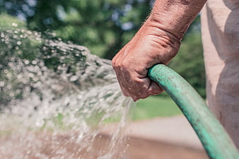 Close-up of hand holding green garden hose spraying water