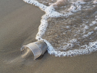 Plastic Cup Washed Ashore on Sandy Beach with Ocean Foam