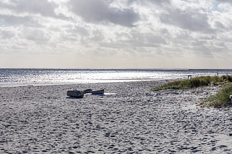 Serene sandy beach with wooden logs and dune grass under cloudy sky