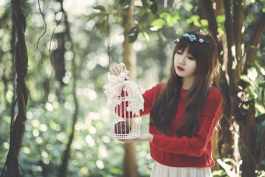 Woman in Red Sweater Holding White Birdcage in Forest