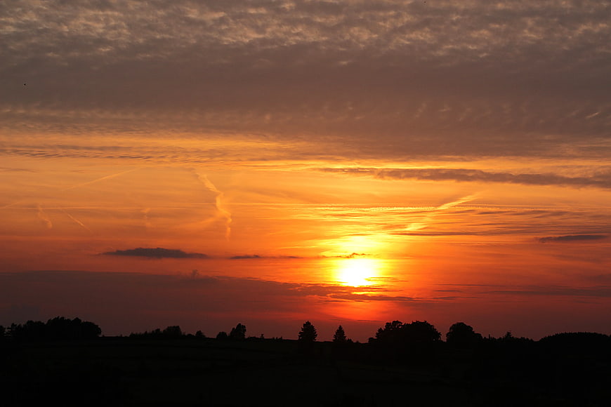 Vibrant Orange Sunset Sky with Tree Silhouettes