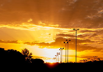 Silhouette of Street Lights Against Golden Sunset Sky