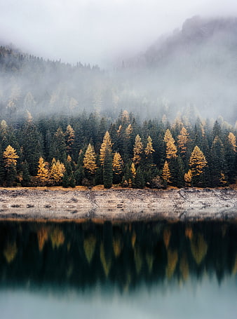 Misty Autumn Forest Landscape with Lake Reflection