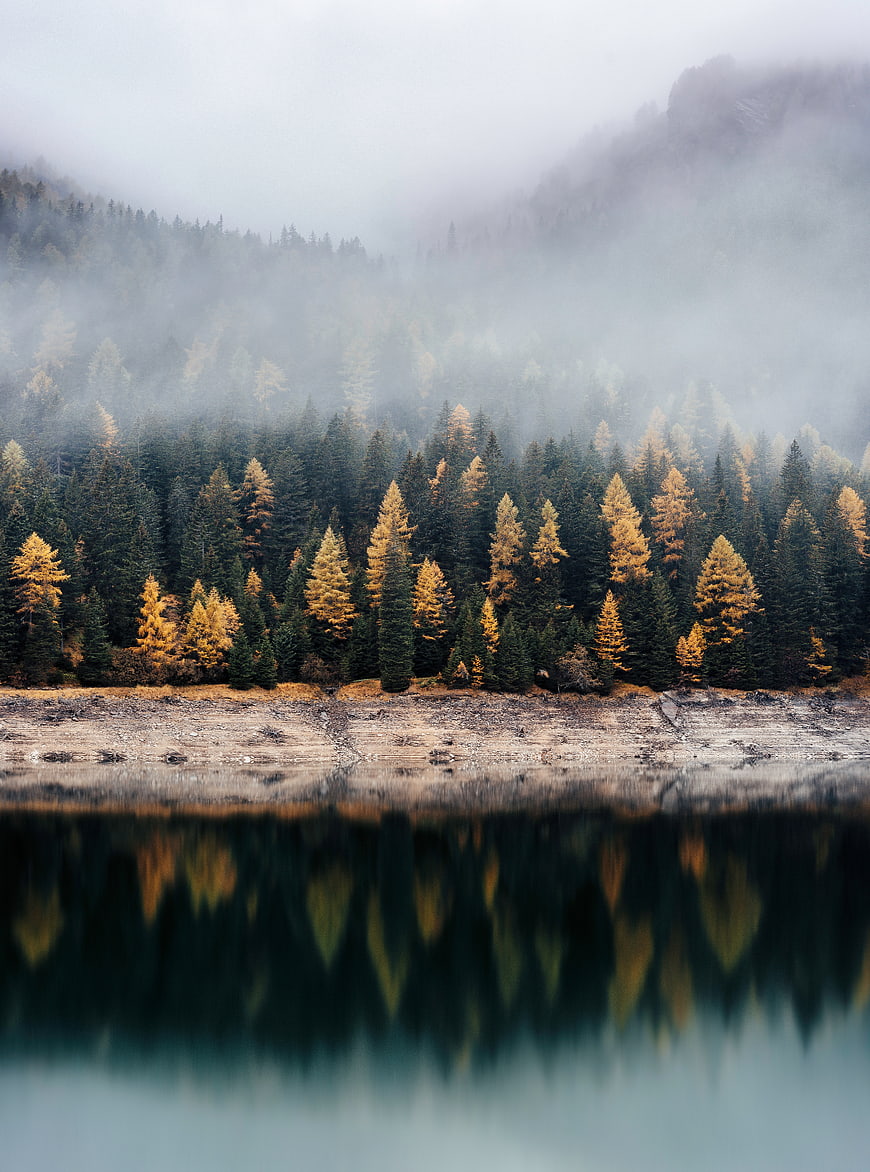 Misty Autumn Forest Landscape with Lake Reflection