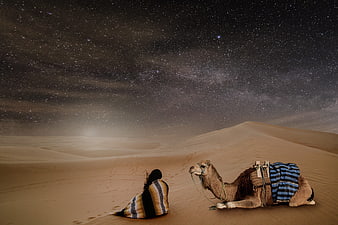 Person and Camel Resting in Desert Under Starry Night Sky