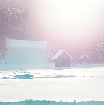 Serene Winter Cabin in Snowy Forest with Sunlight