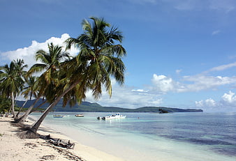 Tropical Beach Landscape With Palm Trees And Boats In The Dominican Republic