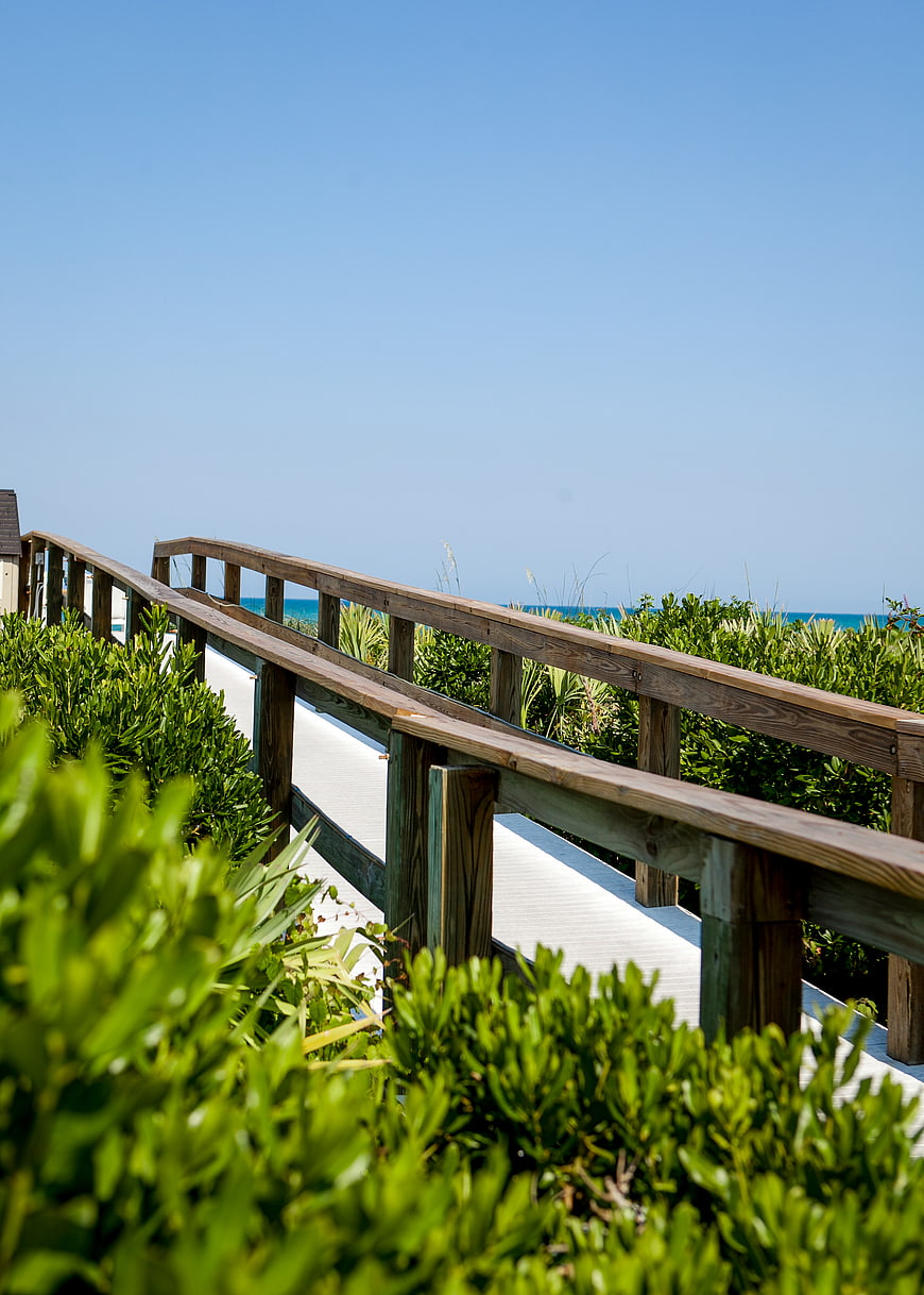 Wooden Boardwalk Path Through Green Bushes to Blue Ocean