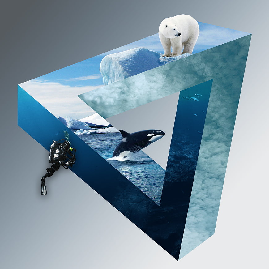 Impossible Triangle Collage with Polar Bear, Orca, and Diver