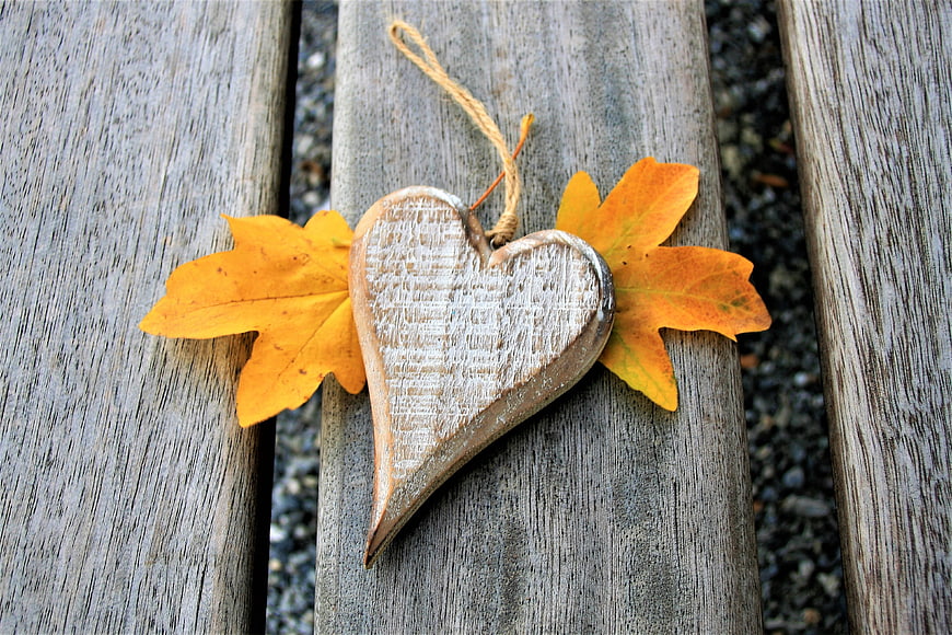 Rustic wooden heart with yellow autumn leaves on weathered bench