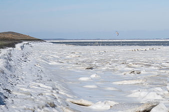 Frozen icy shoreline with seagull flying over winter landscape