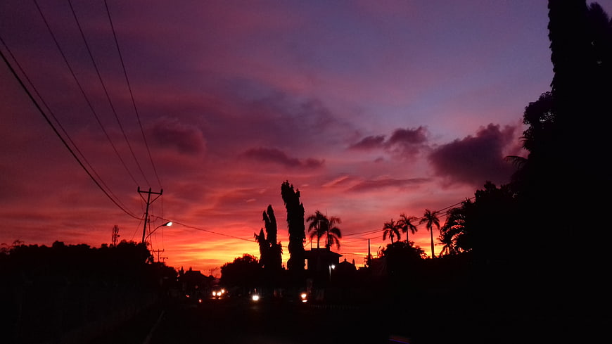Vibrant purple and orange sunset sky over silhouetted tropical trees