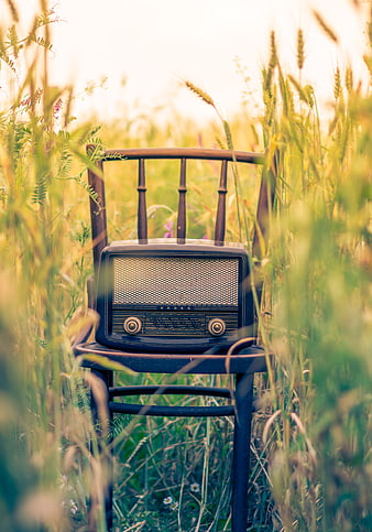 Vintage Radio on Wooden Chair in Golden Wheat Field