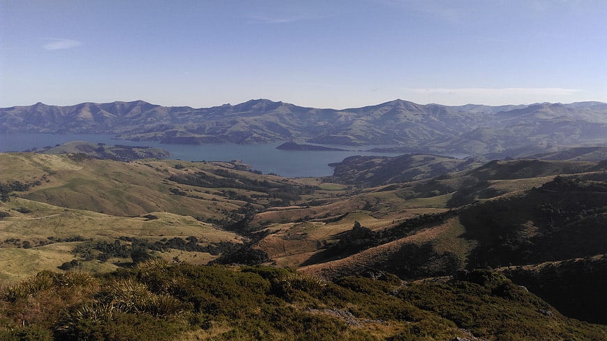 Panoramic View of Rolling Hills and Lake in New Zealand