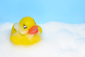Yellow rubber duck in bath foam on blue background